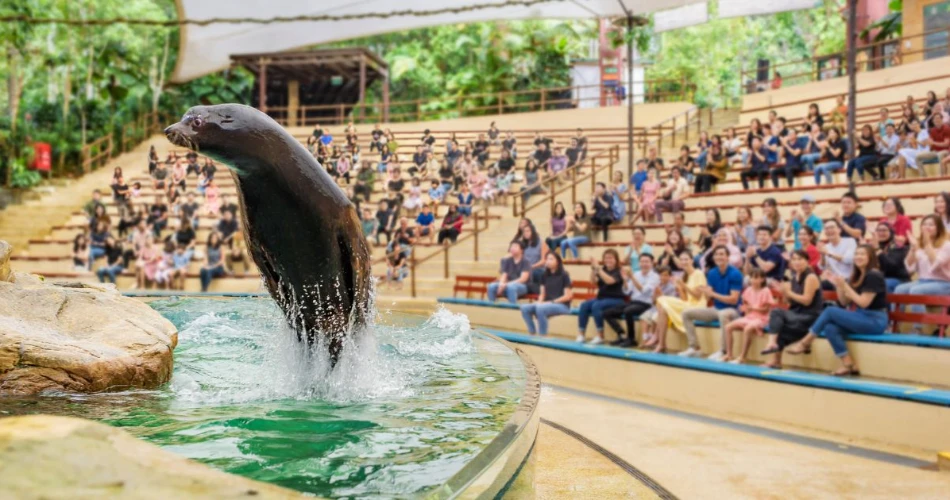 3 Days in Singapore: The Perfect First-Timer Itinerary