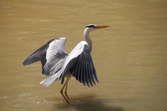 Tour image 6